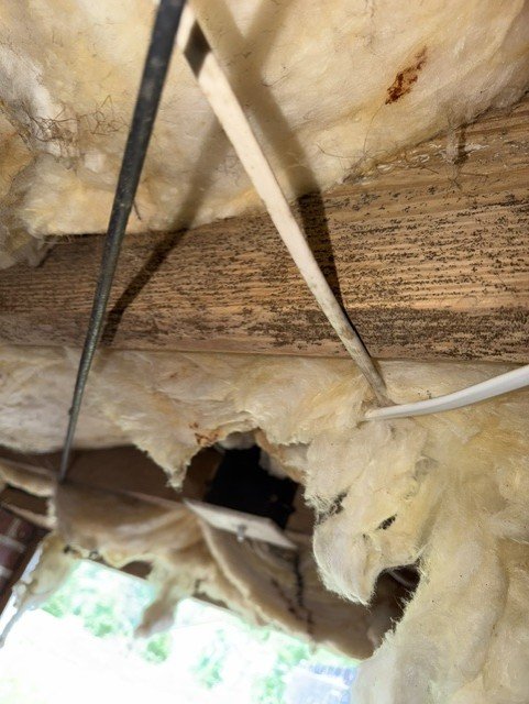Crawlspace with mold growth on wooden beams and damaged insulation requiring remediation