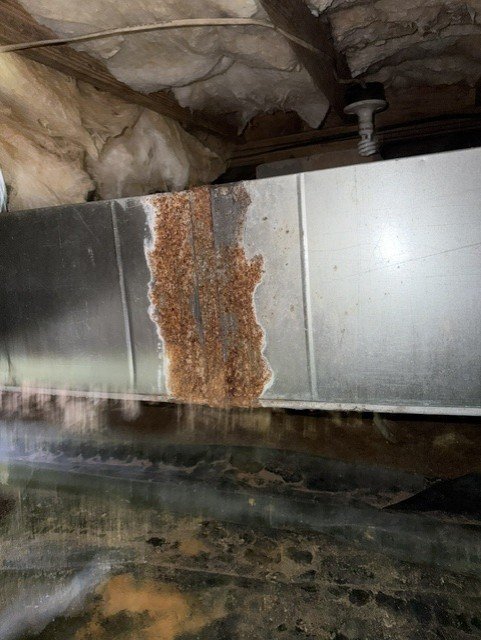 Crawlspace ductwork with visible mold growth on insulation and metal surfaces