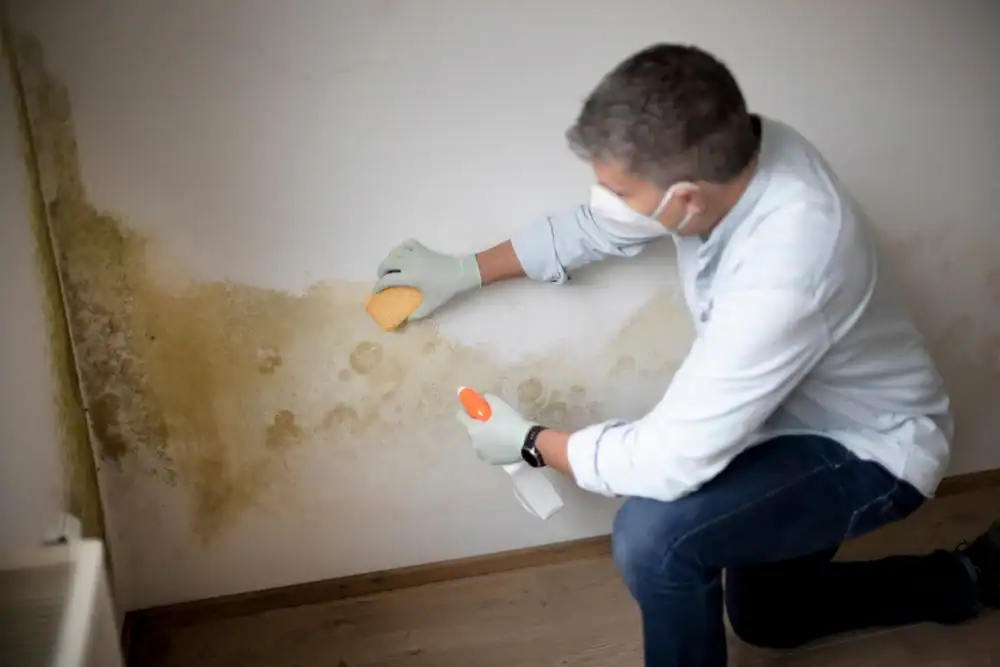 Mold removal specialist cleaning mold from wall in home.