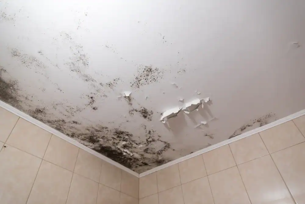 Mold removal from bathroom ceiling with visible black mold and peeling paint.